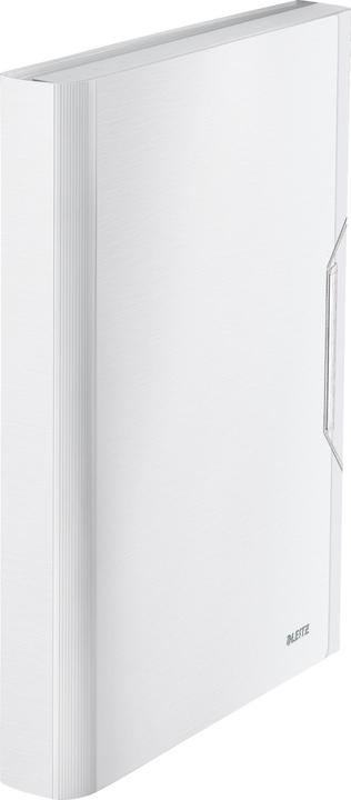 Arctic White