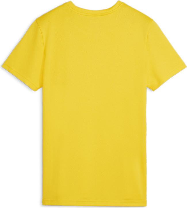 Image du produit Puma teamGOAL Jersey Wmn (XL)