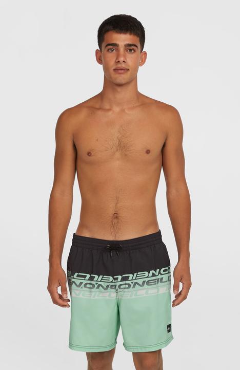 Actual product image O'Neill Cali Stripe 16" Swimshorts (M)