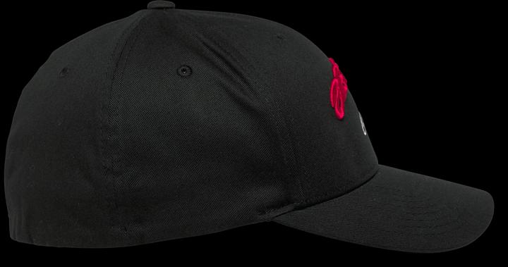 Actual product image Alpinestars Has 24 Arcstars (XL)