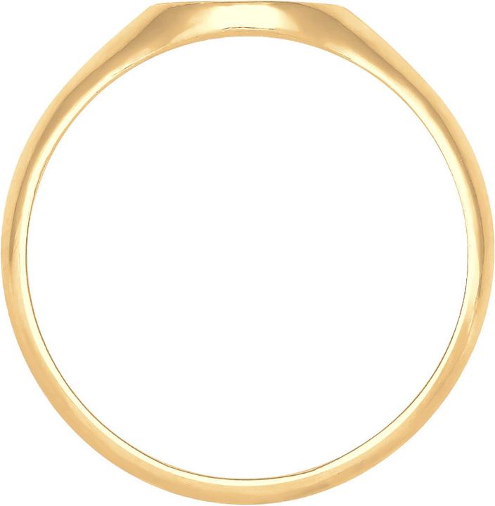 Actual product image Elli Siegelring Matt Optik (54, 925 Silver)