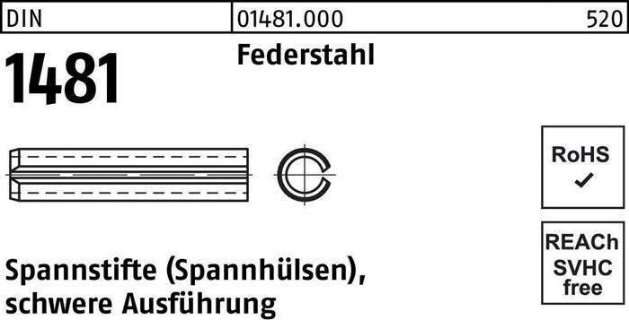 Actual product image Dowel pin DIN 1481 40 x 70 spring steel heavy duty DIN 1481