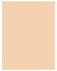 Actual product image Shiseido Synchro Skin Radiant Lifting Foundation ( 110 Alabster ) (140 Porcelain)