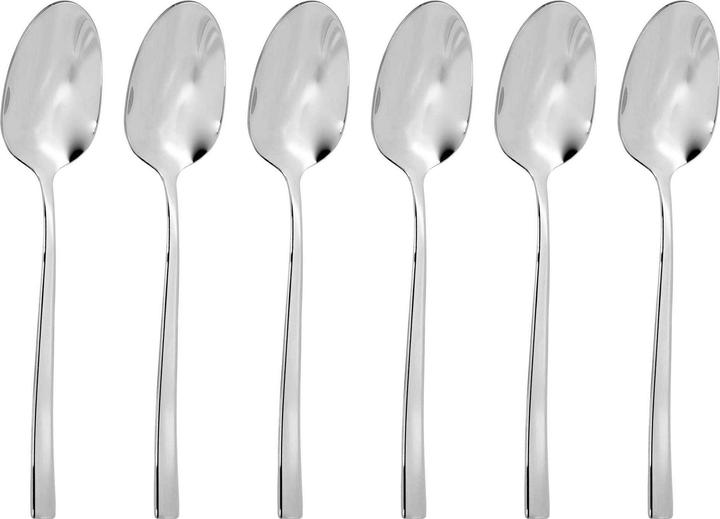 Actual product image Sambonet Rock mocha spoon set 6 pcs. (6 Piece, Scoops)