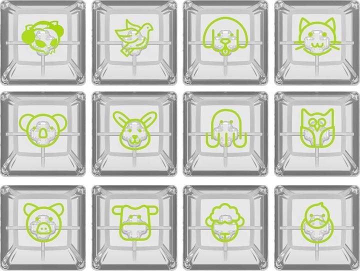 Produktbild Akko ASA Clear Printed Keycap