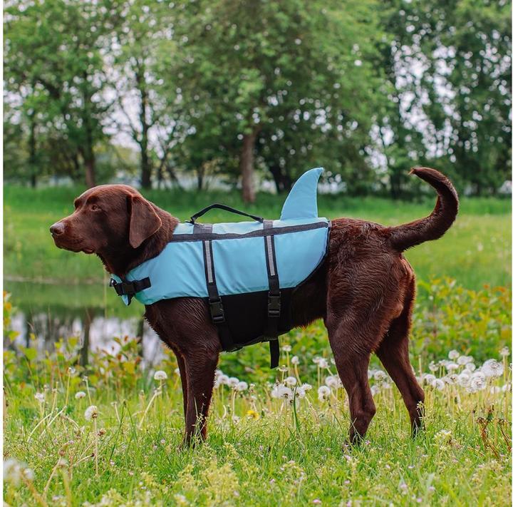 Image du produit Nobby Sharki (XS, Gilet pour chien)