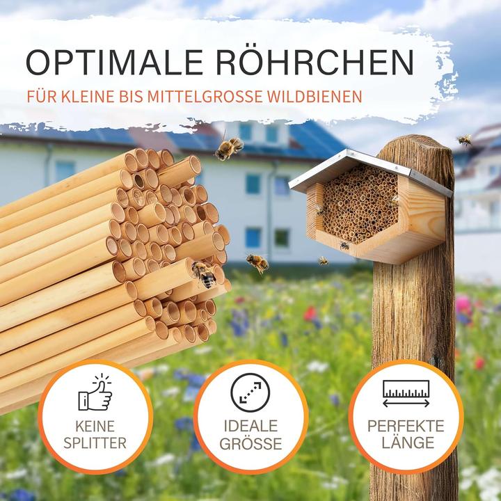 Produktbild Beesi Insektenhotel mit Schilfröhrchen für Wildbienen (Wildbienen)