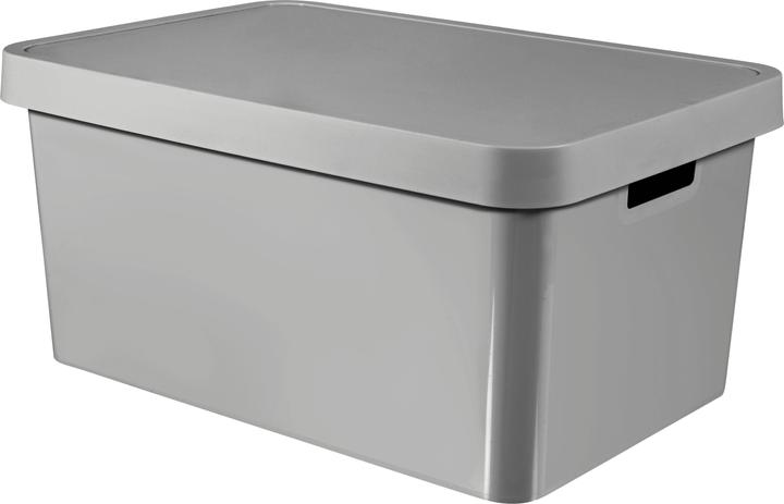 Actual product image Curver Infinity 45L gray container with lid (45 l)