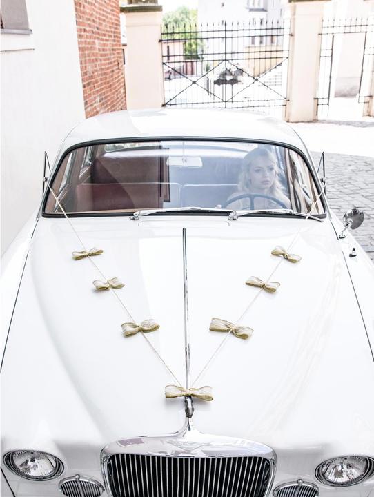 Image du produit Partydeco Accessoire de fête Set de décoration de voiture 5 pièces, brun/blanc