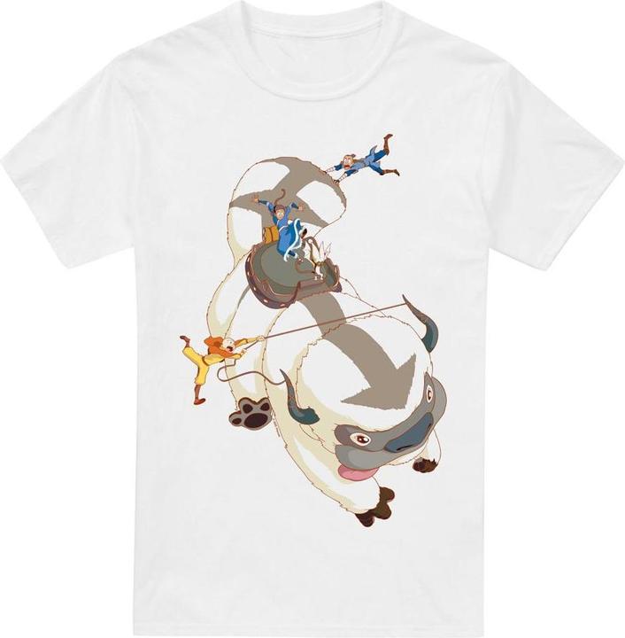 Avatar: The Last Airbender Hang On TShirt (S)