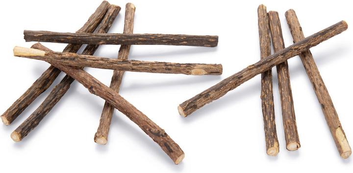 Beeztees Matatabi Sticks (Catmint toy)
