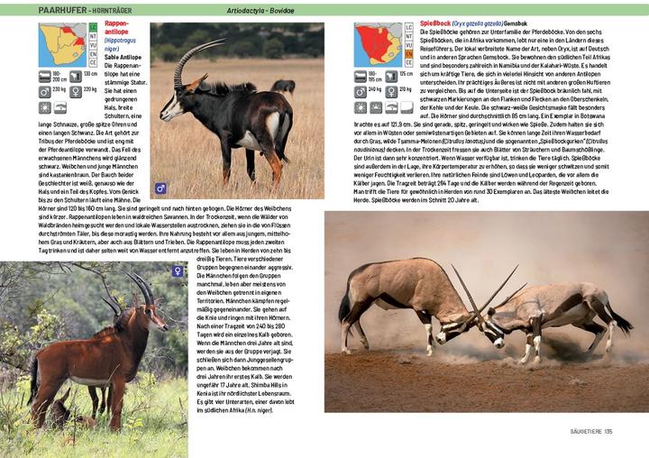 Produktbild Afrika Safari Media Safari-Reiseführer Südliches Afrika (Deutsch, Ruud Troost, 2023)