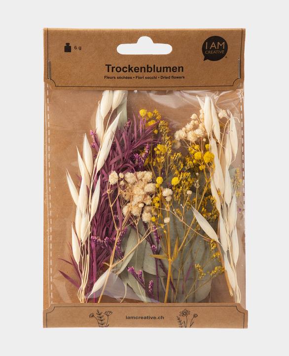 Produktbild I Am Creative Trockenblumenset (Trockenblumen)
