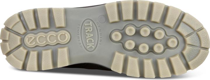 Image du produit Ecco Track 25 Low GTX (43)