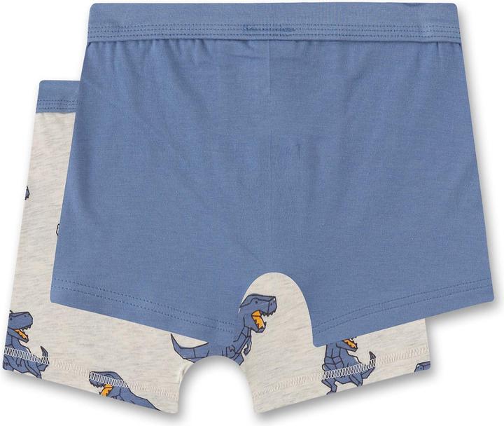 Immagine prodotto Sanetta Boxer Casual Vestibilità comoda (140, Confezione da 2)