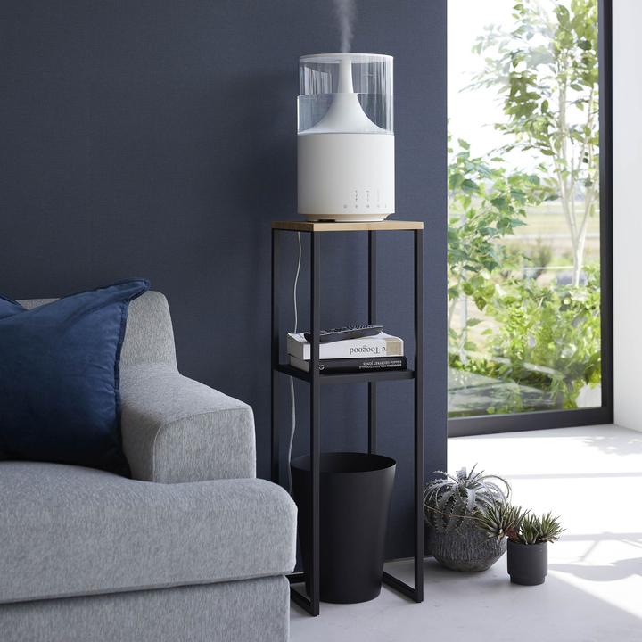 Actual product image Yamazaki 2-tier shelf with wooden top TOWER