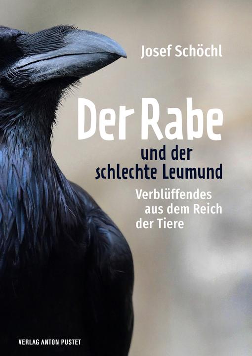 Produktbild Der Rabe und der schlechte Leumund (Deutsch, Josef Schöchl, 2022)