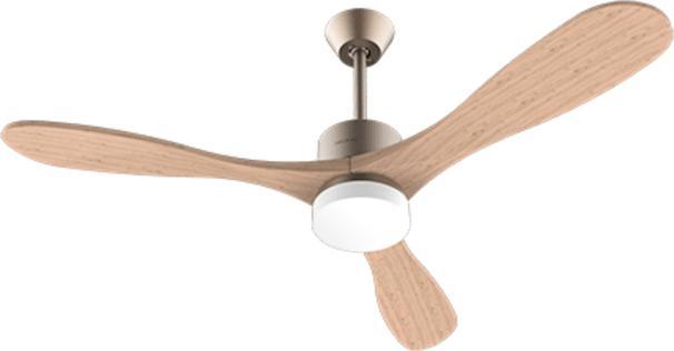 Image du produit Cecotec Energysilence Aero 5290 Golden Pro