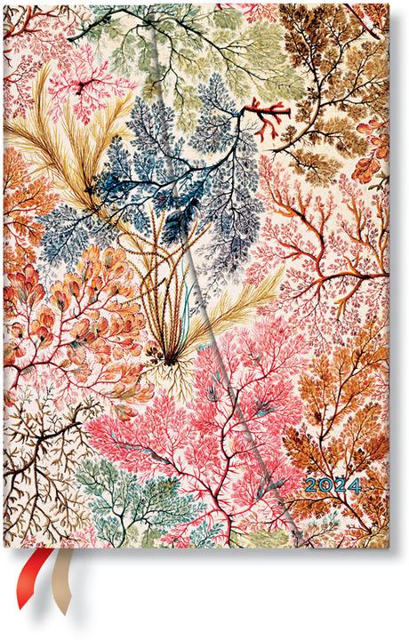 Actual product image Paperblanks PAPERBLAN Agenda Anemone 2025 DHD6032 1W/2S VSO Midi HC DE 13x18cm (18 x 12.5 cm, German)