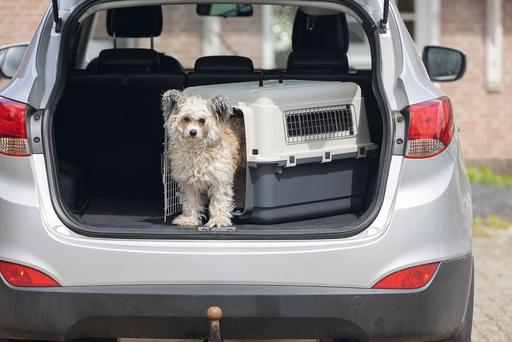Immagine prodotto Karlie Scatola di trasporto nomade (Cane, Gatto, Chiudibile a chiave)