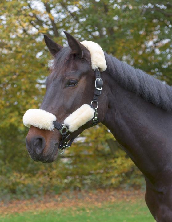 Actual product image Kerbl Lambskin set for halter