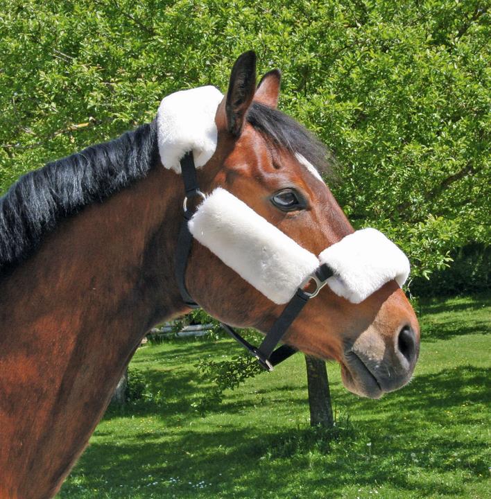 Actual product image Kerbl Lambskin set for halter