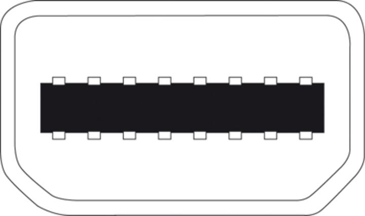Immagine prodotto Digitus Cavo adattatore DisplayPort, mini DP - HD15 St/Bu DP, CE, bianco (Mini DP, 15 cm)