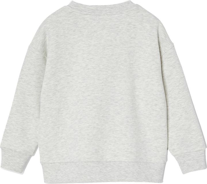 Produktbild Vertbaudet Jungen Sweatshirt mit grossem Skater-Motiv, Recycling-Polyester (158)