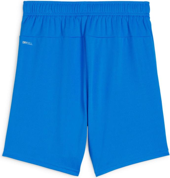 Actual product image Puma teamGOAL Shorts Jr (140)