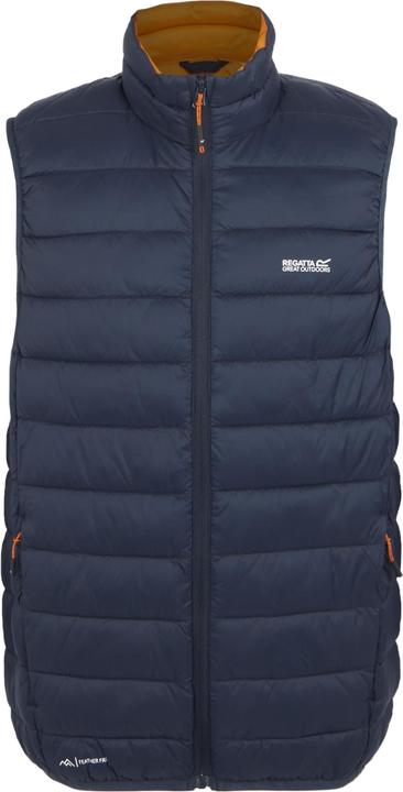 chestnut, Navy blue