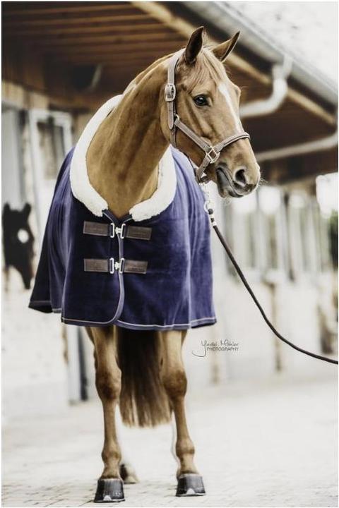 Actual product image Kentucky Horsewear Sweat rug Fleece Show (145 cm)