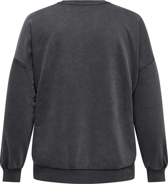 Actual product image Only CARCARMA Sweatshirt Sweatshirt (M)