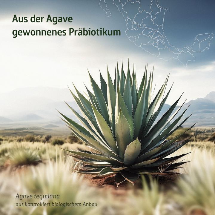 Produktbild Effective Nature Combi Flora Inulin (270 Stück, Kapseln, 270 g)