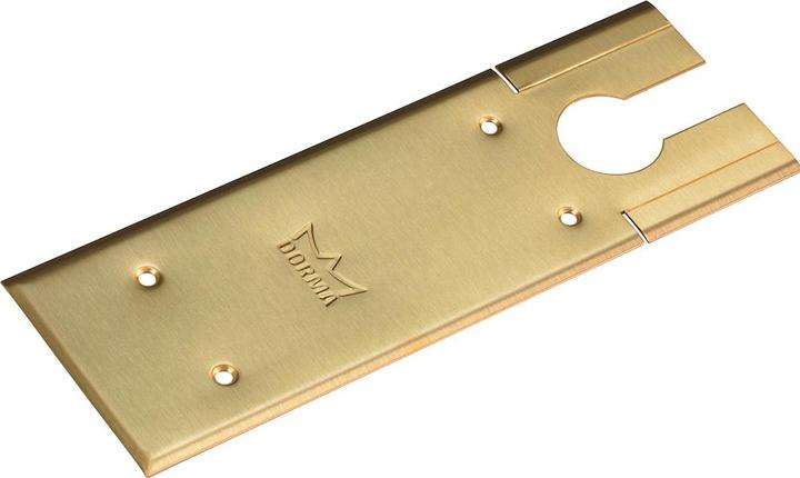 Immagine prodotto Dormakaba Piastra di copertura DORMA per BTS 75 V in ottone opaco spazzolato (46700159)
