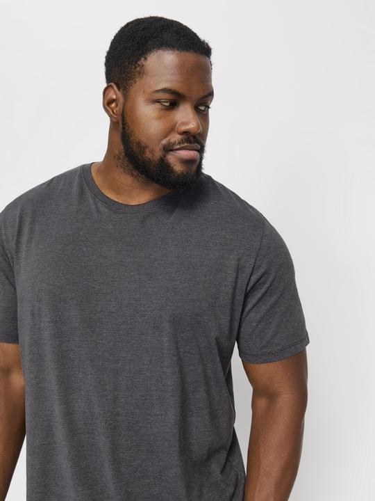 Produktbild Jack & Jones Jjeorganic Mel Tee Ss O-Neck Noos Pls (8XL)