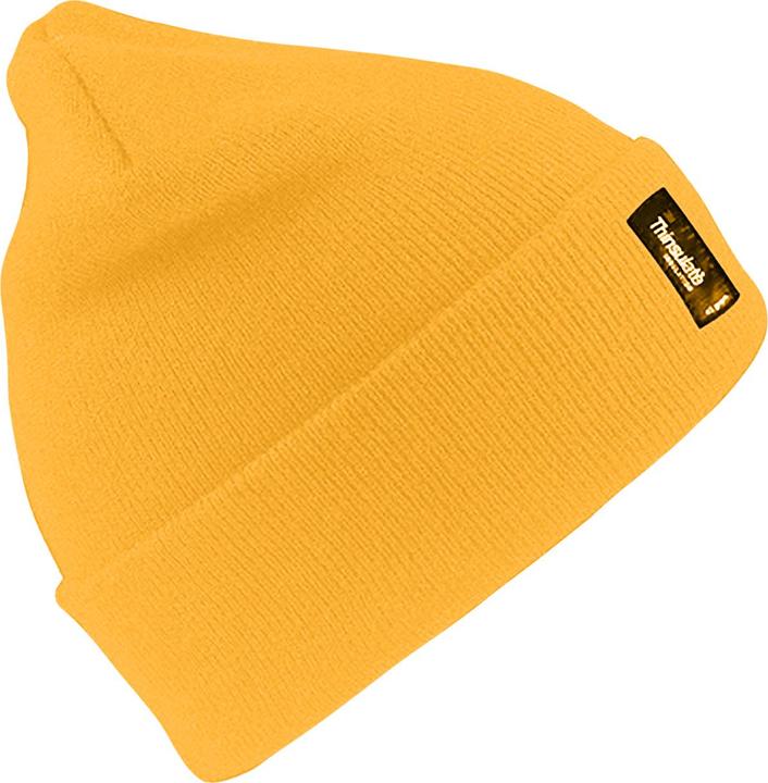 Actual product image Regatta Lightweight ThermoThinsulate hat (2 piecesPack of 2) (One size)