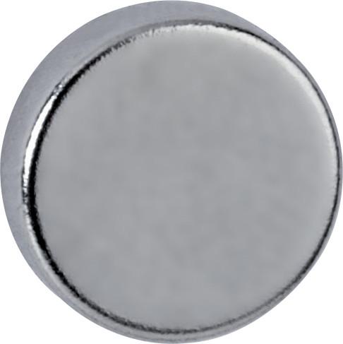 Actual product image Maul Neodymium magnet (10 x)