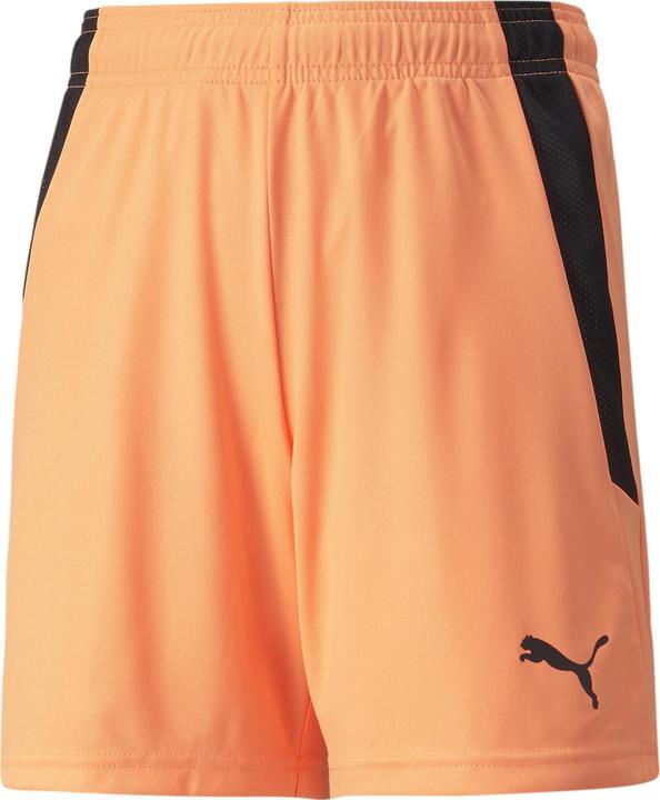 Puma teamLIGA Shorts Jr