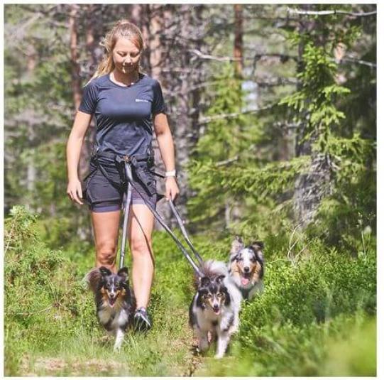 Actual product image Non-Stop Dogwear Line Harness 5.0 (6, Dog, General)