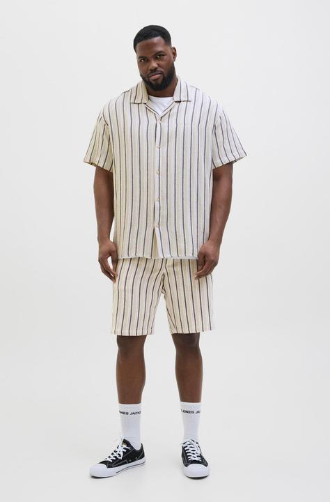 Actual product image Jack & Jones Jpstjaiden Coba Stripe Jog Short Sn Pls (48)