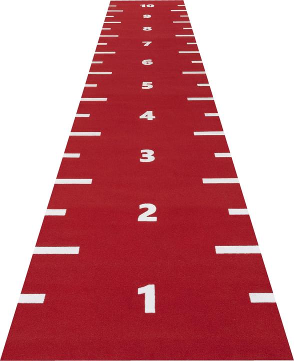 Immagine prodotto Sprinttracks Pista da corsa in erba artificiale Numerati (70000 g)