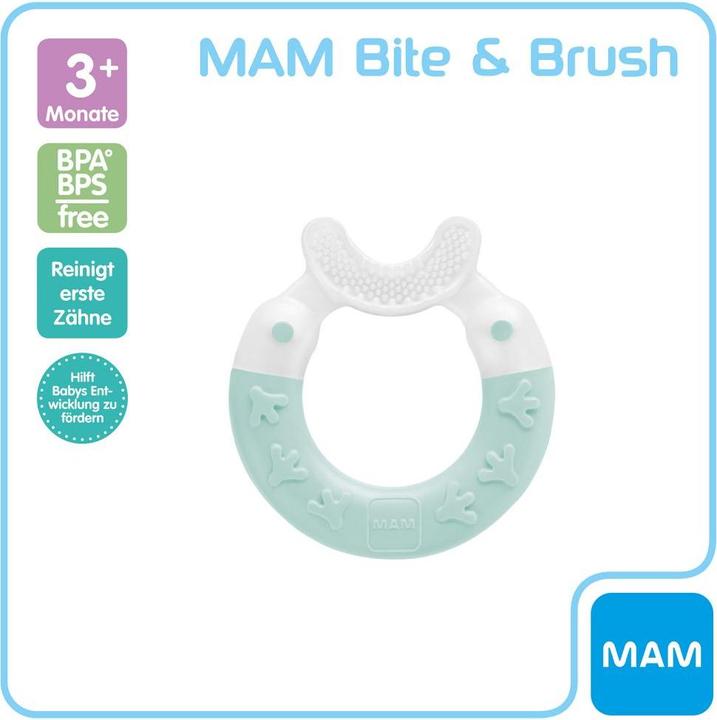 Actual product image MAM Bite ring Bite & Brush 3+ months, 1 pc, turquoise