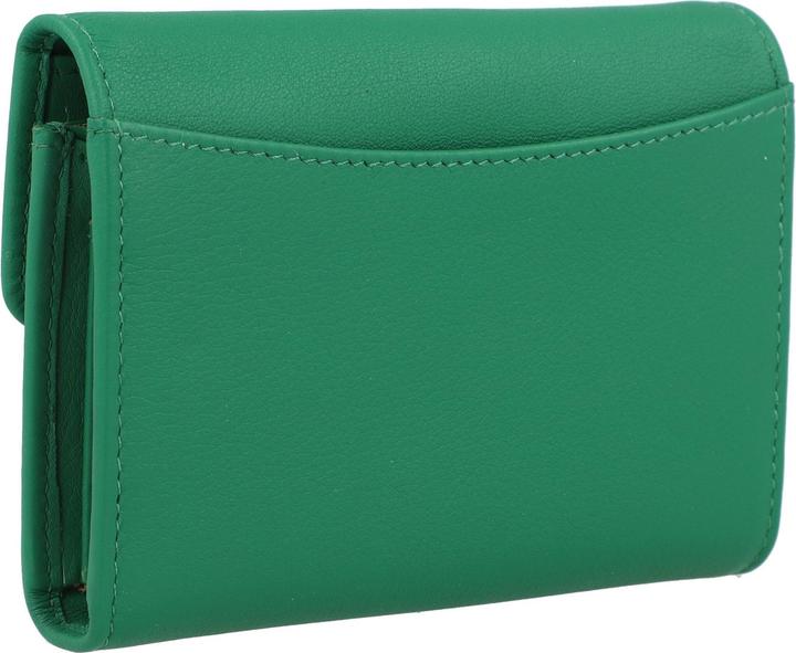Actual product image Braun Büffel JOY RFID fern green