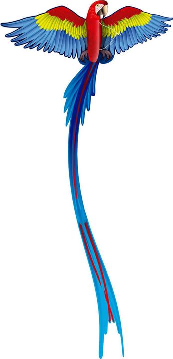 Produktbild Eolo Kites Ready 2 Fly - Pop-up-3D-Drachenpapagei