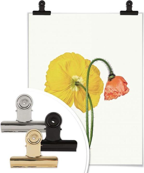 Actual product image Trenddeko The red and yellow flower (24 x 30 cm)
