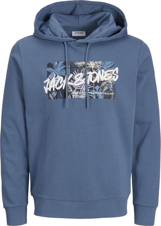 Image du produit Jack & Jones Logo Sweat à capuche Sweat à capuche (M)