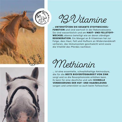 Immagine prodotto Annimally Biotina liquida (1000 g)