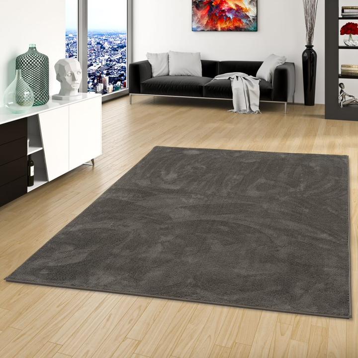 Produktbild Snapstyle Luxus Super Soft Hochflor Langflor Teppich Deluxe (200 x 300 cm)