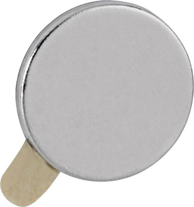 Immagine prodotto Maul Magnete di tenuta al neodimio (20 x)