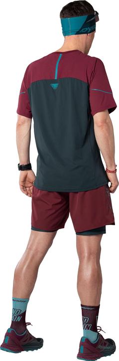 Actual product image Dynafit Alpine Pro M S/S Tee (S)
